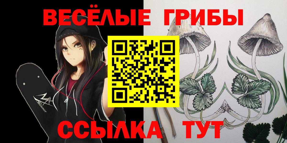 Галлюциногенные грибы Psilocybe Советский