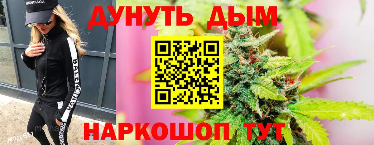 Канабис сатива  Канабис конопля  Вход с VPN  Советский  Каннабис Ganja  Марихуана план 